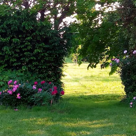 فندق مبيت وإفطار B&B Villa Trissino Rossi *