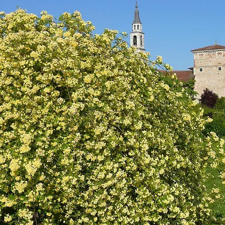 B&B Villa Trissino Rossi * Sarego